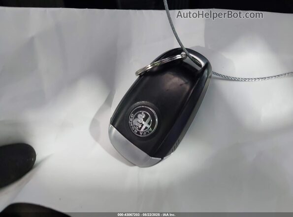 ZASFAKBN2J7B79671 2018 ALFA ROMEO STELVIO Красный 