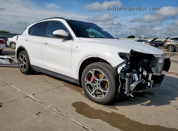 ZASPAKBN0N7D29271 2022 ALFA ROMEO STELVIO White 