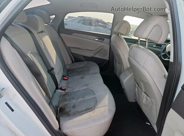 5NPE24AF9HH558017 2017 HYUNDAI SONATA White 
