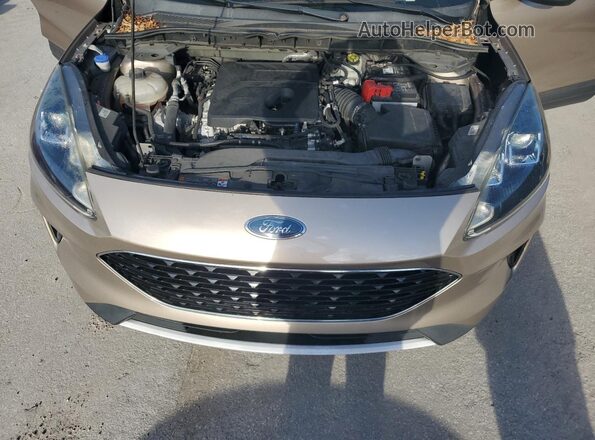 1FMCU0G67LUA14336 2020 FORD ESCAPE Beige Widok naklejki z numerem VIN