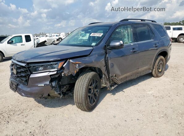 5FNYG1H88SB029670 2025 HONDA PILOT Gray 