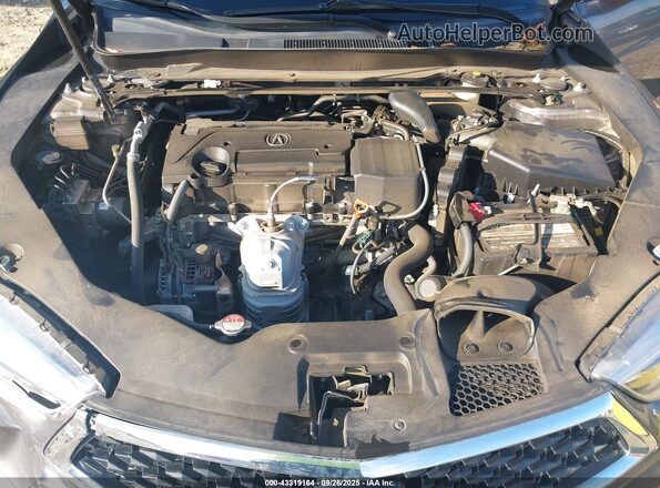 19UUB1F3XLA002504 2020 ACURA TLX Gray Widok z tyłu