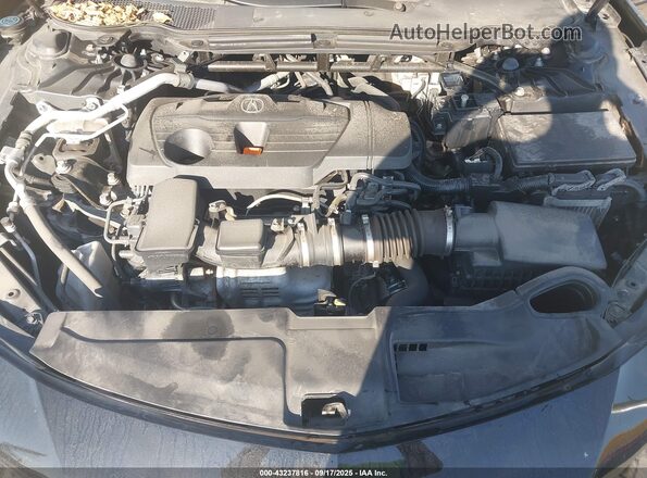 19UUB6F32MA001006 2021 ACURA TLX Черный Вид сзади