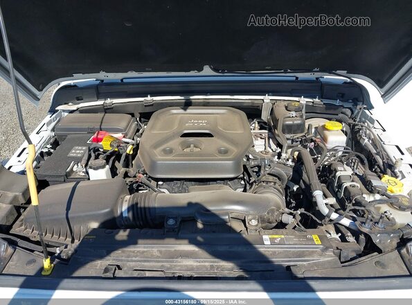 1C4HJXDN1MW569845 2021 JEEP WRANGLER UNLIMITED Белый Вид сзади