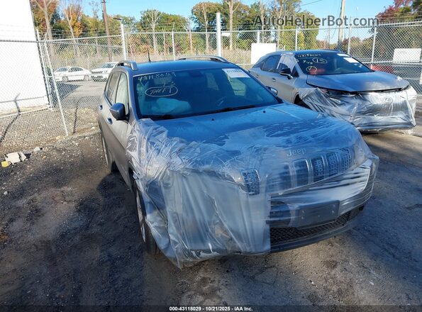 1C4PJLCB6LD577493 2020 JEEP CHEROKEE Silver წინა ხედი