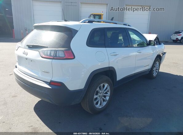 1C4PJMCB5LD573036 2020 JEEP CHEROKEE White უკანა მარჯვენა