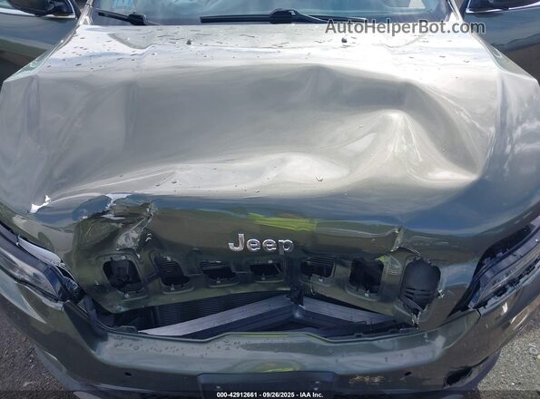 1C4PJMDX2MD229403 2021 JEEP CHEROKEE Green Widok z tyłu