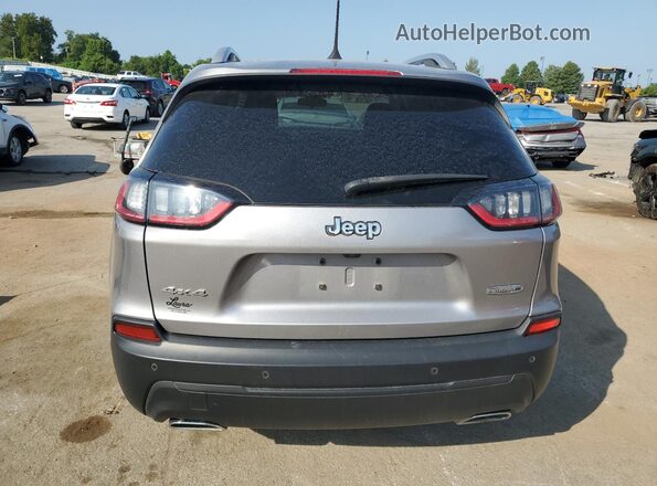1C4PJMLX6LD505601 2020 JEEP CHEROKEE Silver Rear view
