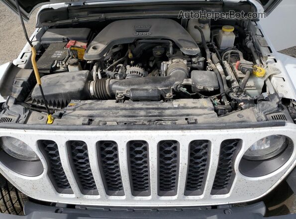 1C6HJTAG6ML519904 2021 JEEP GLADIATOR White Widok wnętrza z tyłu