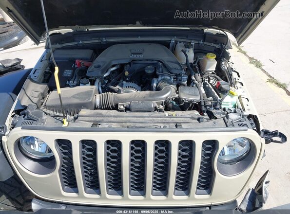 1C6JJTBG1LL206595 2020 JEEP GLADIATOR Бежевый Вид сзади