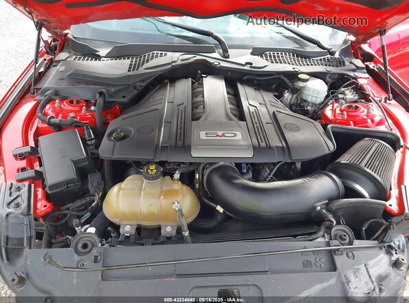 1FA6P8CF1K5205424 2019 FORD MUSTANG Red Вид ззаду