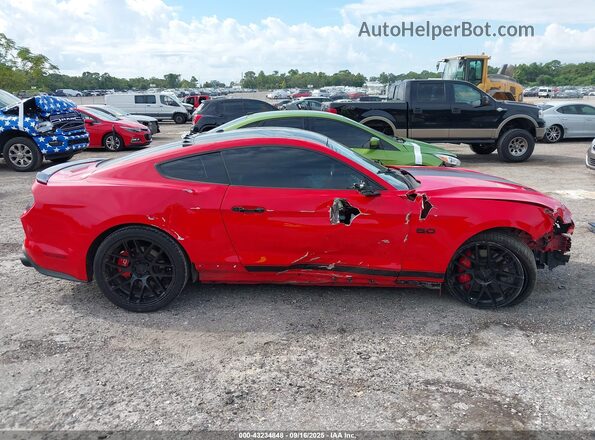 1FA6P8CF1K5205424 2019 FORD MUSTANG Red Вид задньої частини салону