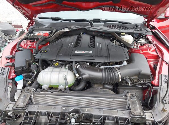 1FA6P8CF4M5154777 2021 FORD MUSTANG Red Widok z tyłu