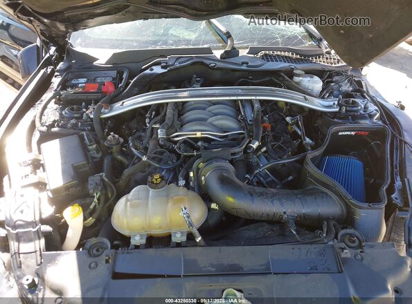 1FA6P8CF5K5135894 2019 FORD MUSTANG Black Rear view