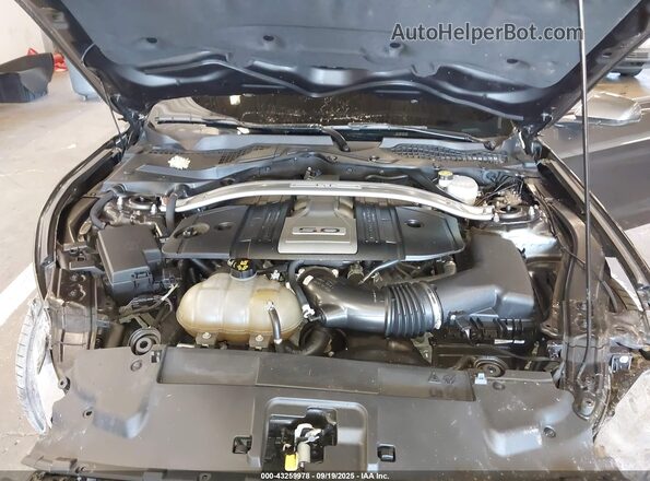 1FA6P8CF9L5121966 2020 FORD MUSTANG Gray Вид ззаду