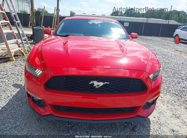 1FA6P8TH0H5330358 2017 FORD MUSTANG Красный Вид задней части салона