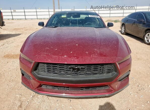 1FA6P8TH2S5116267 2025 FORD MUSTANG Maroon 