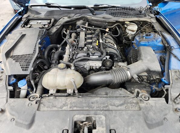 1FA6P8TH3M5118869 2021 FORD MUSTANG Blue უკანა სალონის ხედი