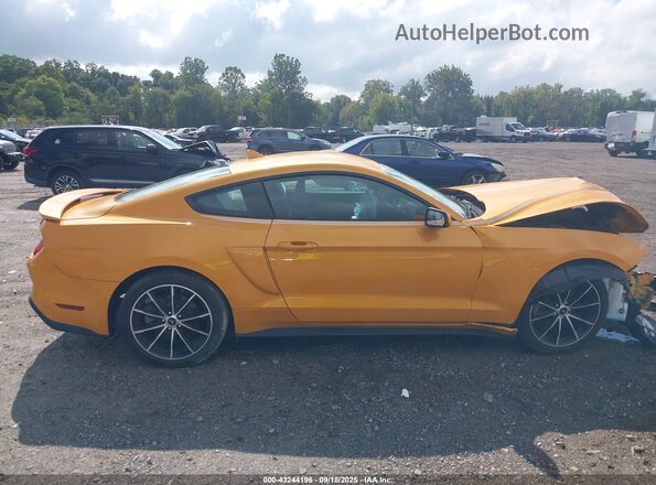 1FA6P8TH4N5144561 2022 FORD MUSTANG Желтый Вид задней части салона