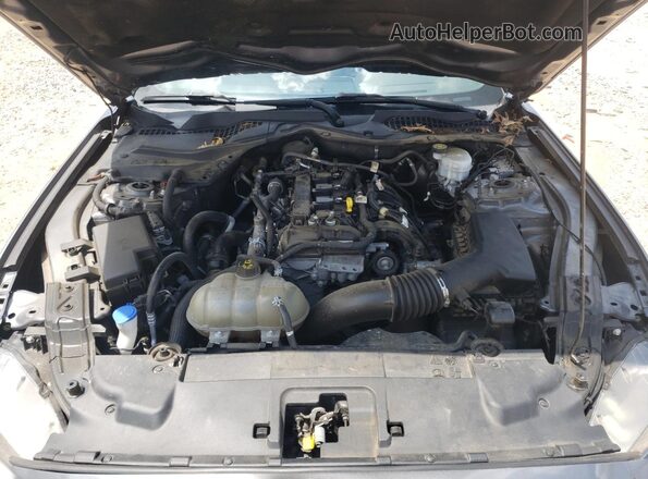 1FA6P8TH6M5101855 2021 FORD MUSTANG Gray Սալոնի հետևի տեսք