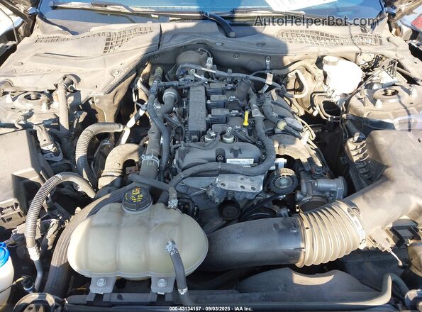 1FA6P8TH6M5114038 2021 FORD MUSTANG Black Vista trasera