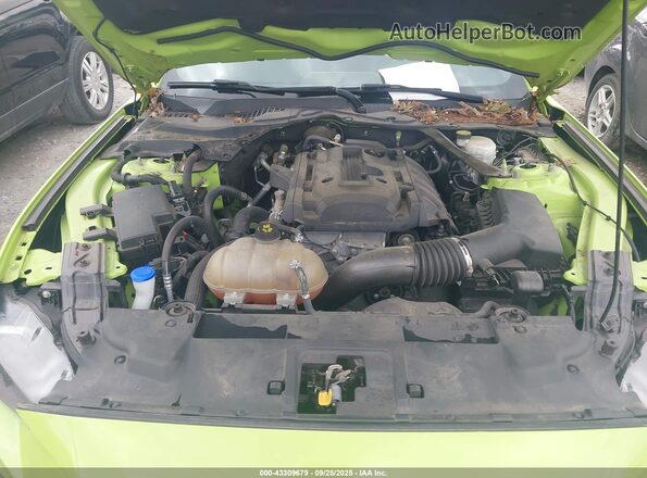 1FATP8UH4L5125734 2020 FORD MUSTANG Green Widok z tyłu