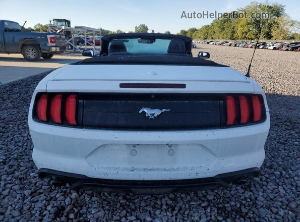 1FATP8UH8M5109408 2021 FORD MUSTANG White უკანა ხედი