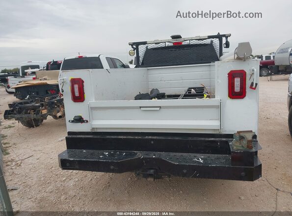 1FD7X2B6XLEC92119 2020 FORD F-250 White 