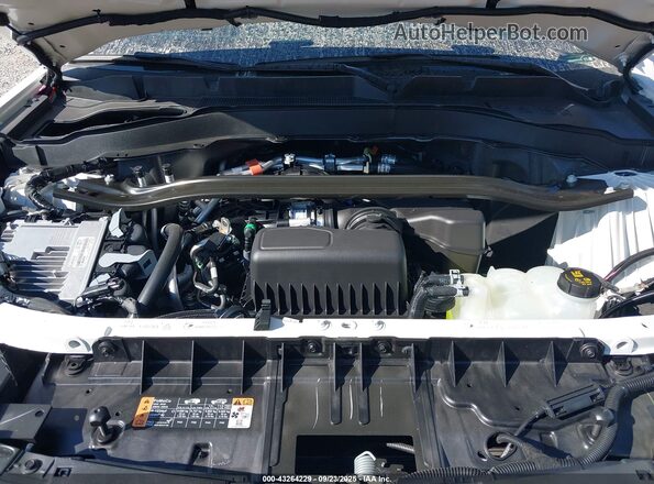 1FM5K8AB6RGA50450 2024 FORD POLICE INTERCEPTOR Белый Вид сзади