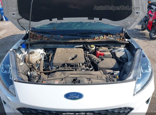 1FMCU0G62LUB98231 2020 FORD ESCAPE White Հետևի տեսք