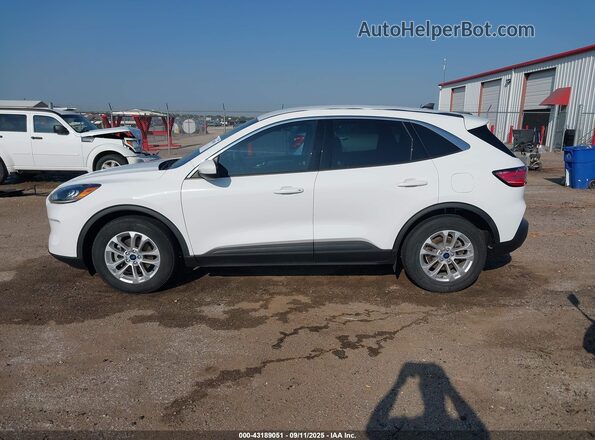 1FMCU0G62LUB98231 2020 FORD ESCAPE White Սալոնի 360 աստիճան տեսք