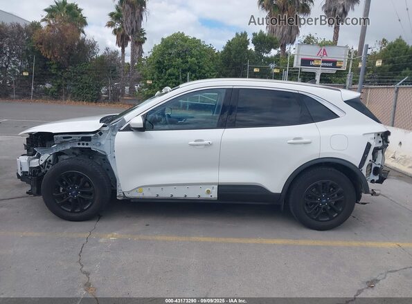 1FMCU0G67LUC76082 2020 FORD ESCAPE White 