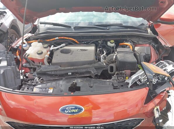 1FMCU9DZ0LUA52185 2020 FORD ESCAPE Orange Հետևի տեսք