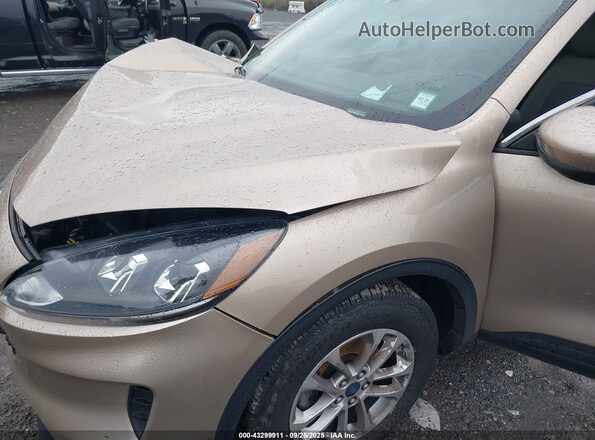 1FMCU9G64LUC61527 2020 FORD ESCAPE Tan Front view