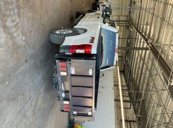 1FT7X2B61LEC98685 2020 FORD F-250  