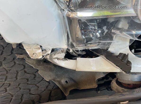 1FT7X2B61LEC98685 2020 FORD F-250  