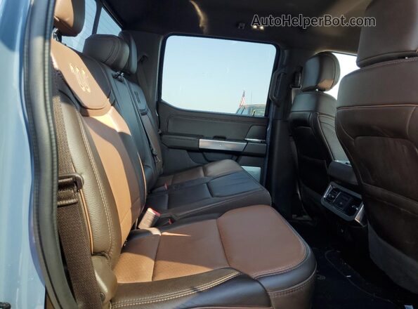 1FT8W3BN9PED07689 2023 FORD F350 Gray Widok tylnych siedzeń
