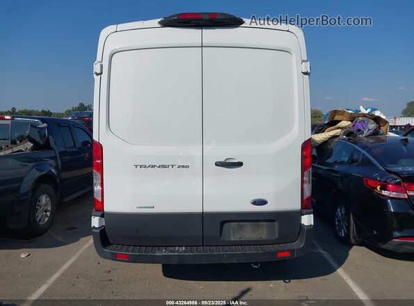 1FTBR1CG9PKA16645 2023 FORD TRANSIT-250 White 