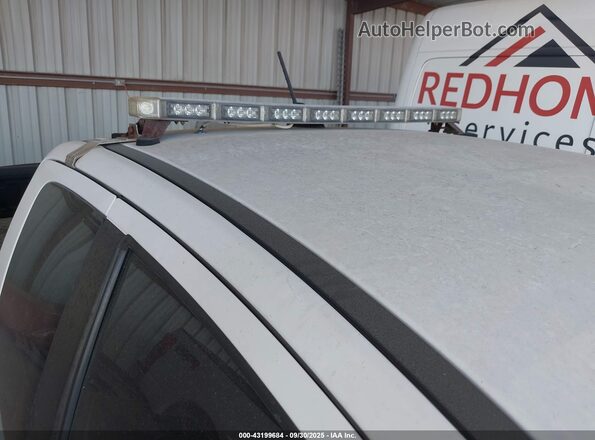 1FTER1EH9LLA14790 2020 FORD RANG White 