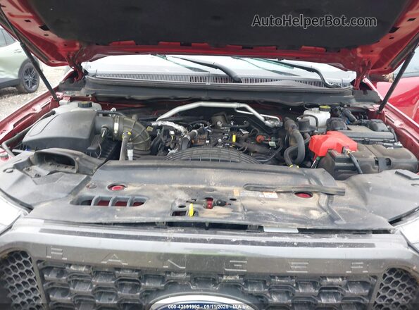 1FTER1FH2MLD36560 2021 FORD RANG Red Հետևի տեսք