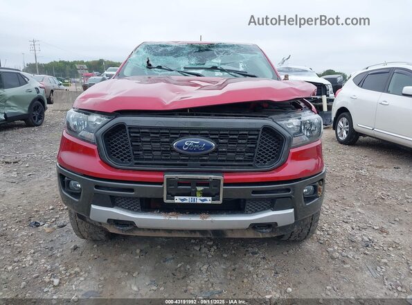 1FTER1FH2MLD36560 2021 FORD RANG Red Սալոնի հետևի տեսք