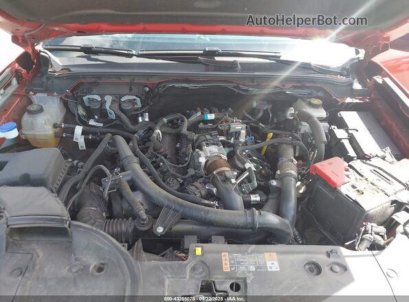 1FTER4HP6RLE40255 2024 FORD RANG Orange 