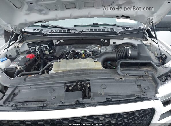 1FTEW1CP2LFB98438 2020 FORD F150 White Vista trasera