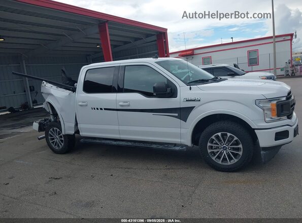 1FTEW1CP5LKD23908 2020 FORD F150 White Вид задньої частини салону