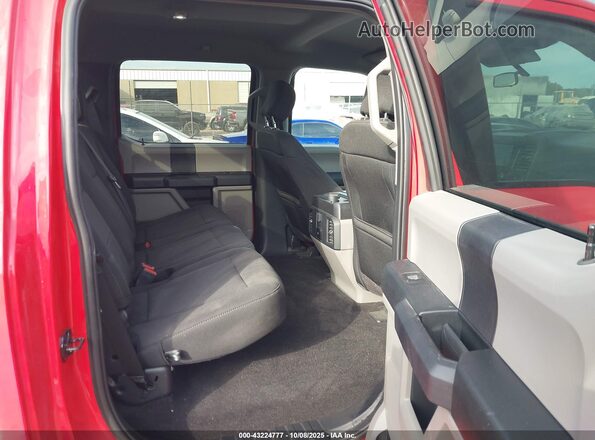 1FTEW1CP9LFA15312 2020 FORD F150 Red VIN կոդի պիտակի տեսք