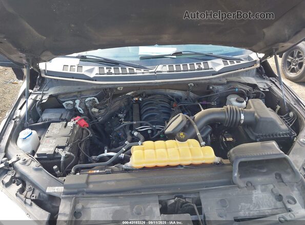 1FTEW1E55LKF28866 2020 FORD F150 Purple Widok z tyłu
