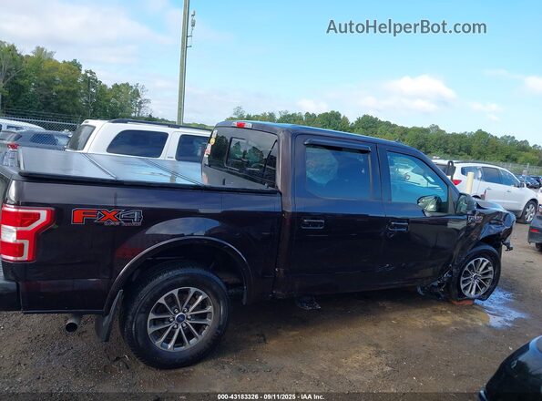 1FTEW1E55LKF28866 2020 FORD F150 Purple Widok wnętrza 360 stopni