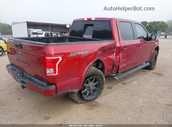1FTEW1EF8GFB34091 2016 FORD F150 Red Trasero derecho