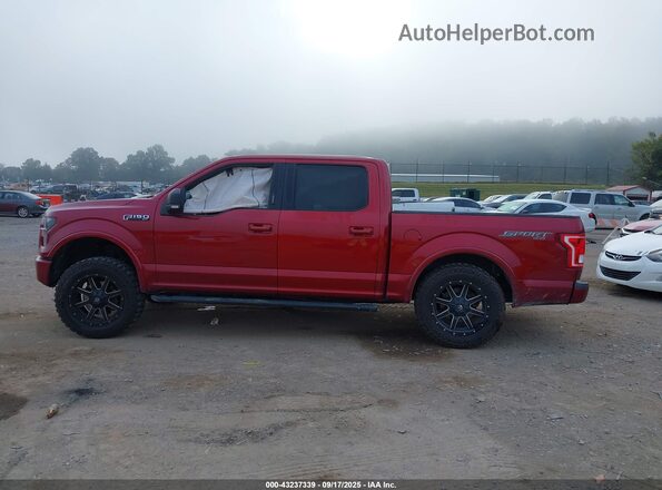 1FTEW1EF8GFB34091 2016 FORD F150 Red Vista interior de 360 grados