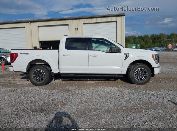 1FTEW1EP3NKD86280 2022 FORD F150 Белый Вид задней части салона